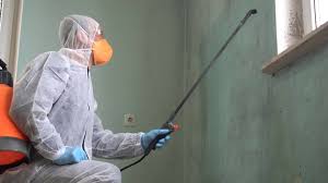 Mold Remediation for Rental Properties in Oak Park Heights, MN